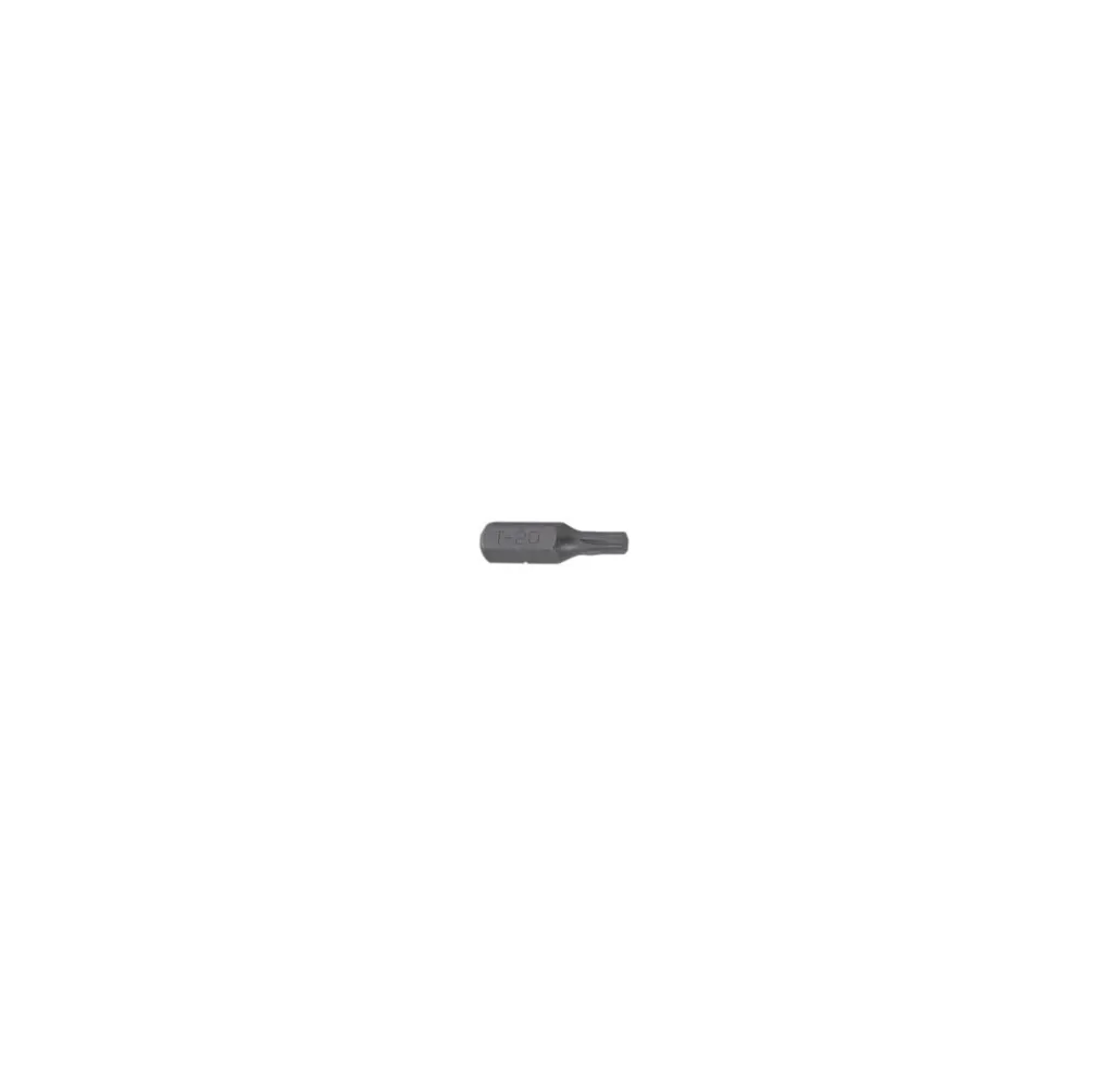 grot Proline Torx T8 25mm